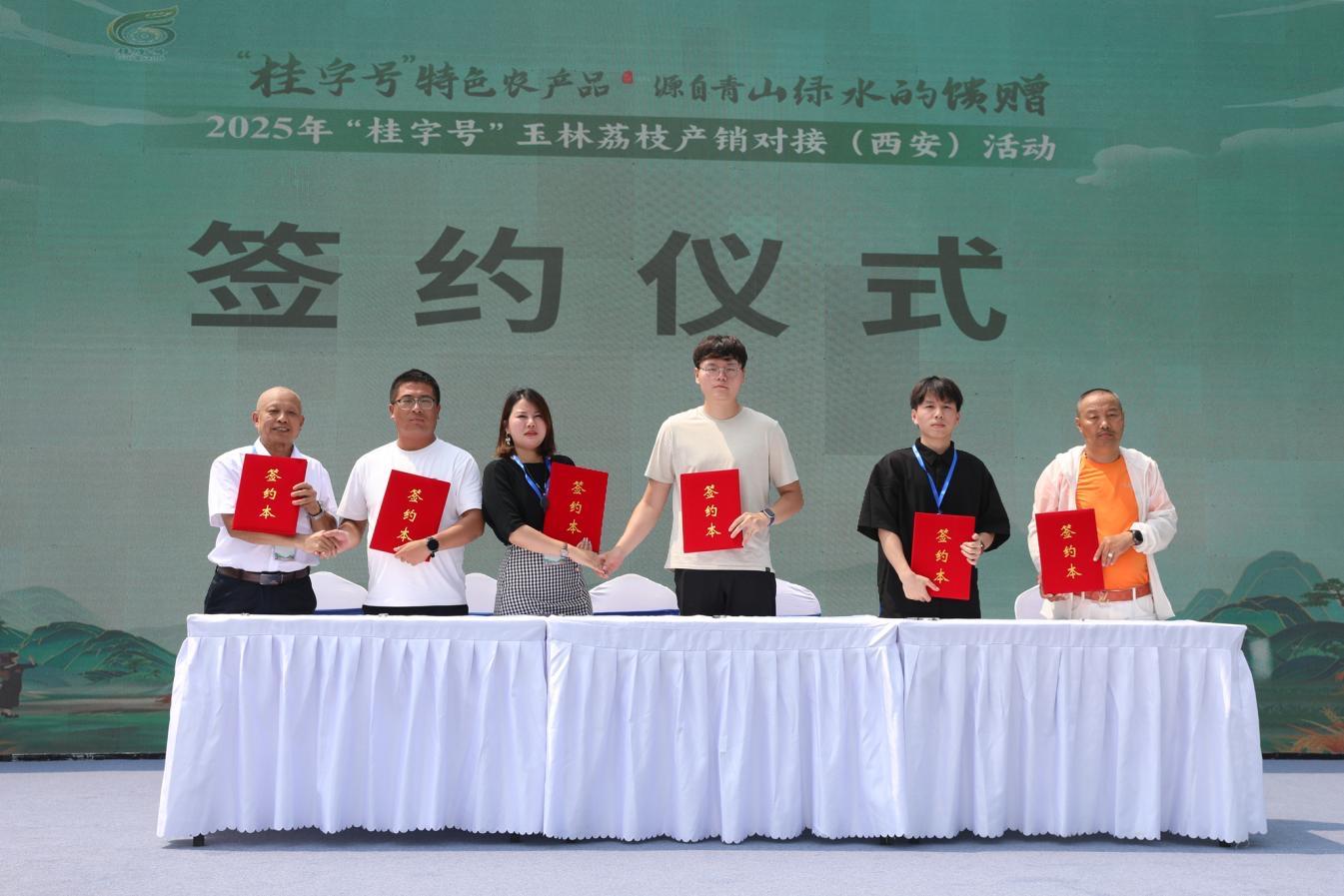 “桂字號”玉林荔枝產銷對接活動舉辦，助力鄉村振興與產業升級
